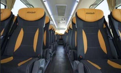 VIP Bus 49 Seater