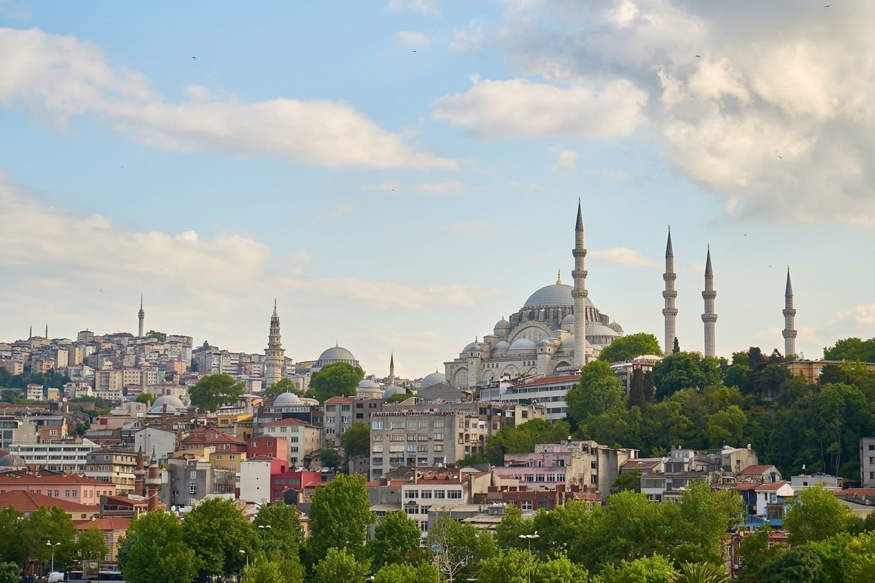 Istanbul Tour & Bosphorus Cruise | 5 Days 🇹🇷 4